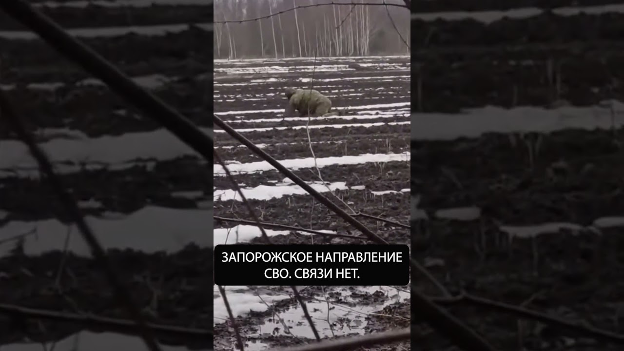 Связи нет, украинские дроны повсюду. Не можем даже нос высунуть, не то, что своих забрать