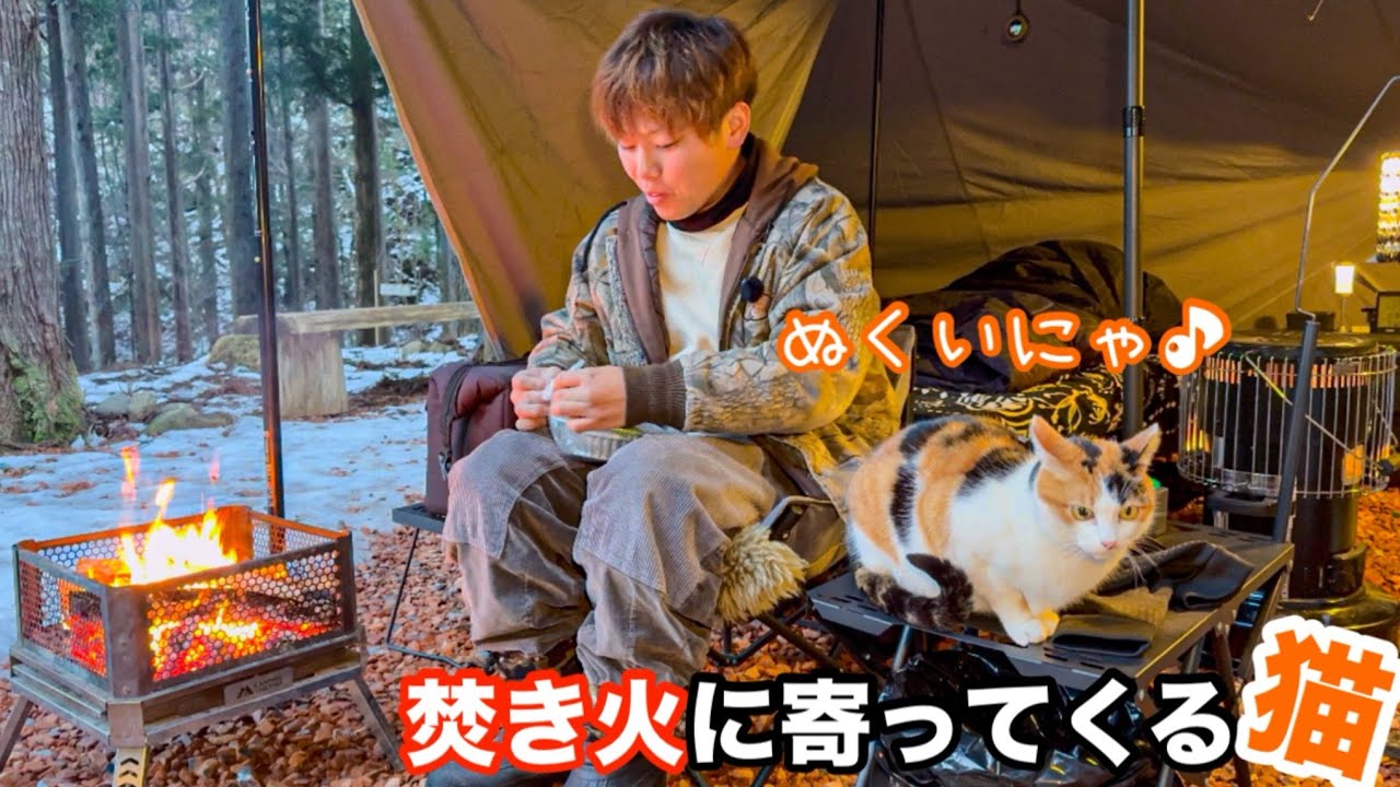 焚き火が好き過ぎるおばあちゃん猫！キャンプ場の現役看板猫が可愛すぎた！