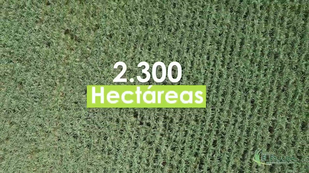 Hacienda El Escobal