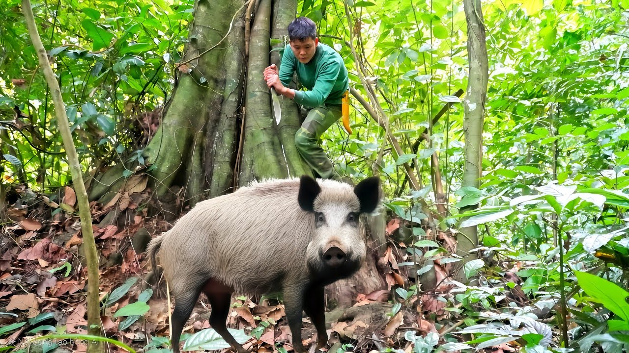 Surviving alone in the wilderness, primitive wild boar trapping skills, survival skills2