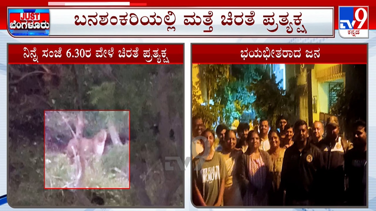 Bengaluru: Leopard Scare Returns To Banashankari, Forest Teams Begin Search