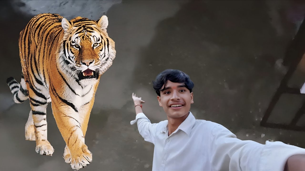 Tiger Mere Samne Aagya 😯