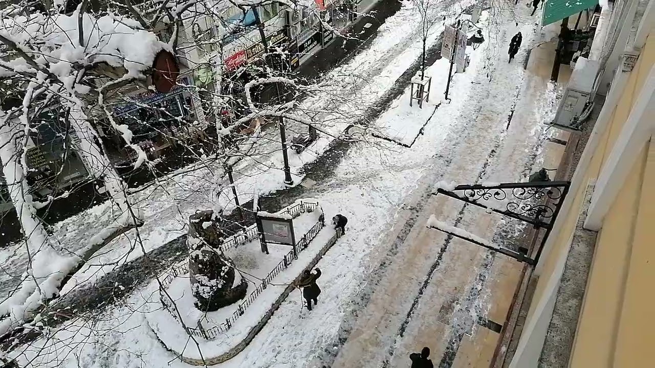 FATSA KAVLAN AĞACI KAR MANZARASI...