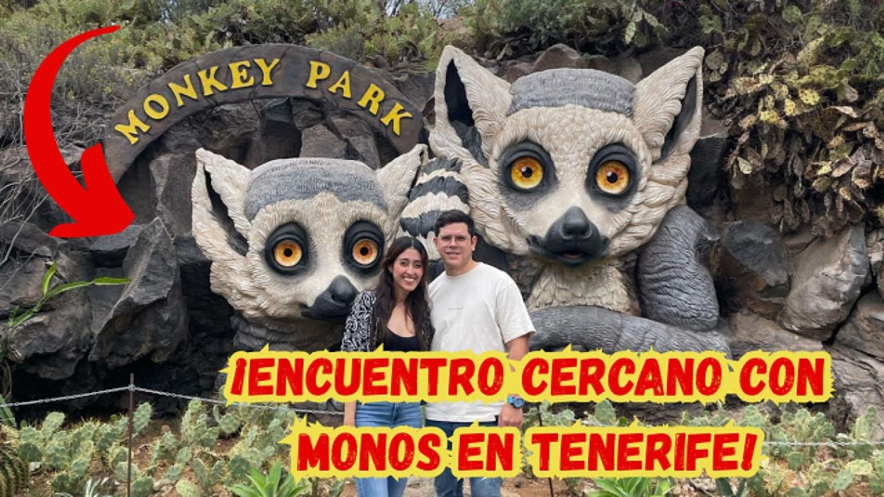 Descubre el Mundo Salvaje de Monkey Park en Tenerife 🏝️🐒