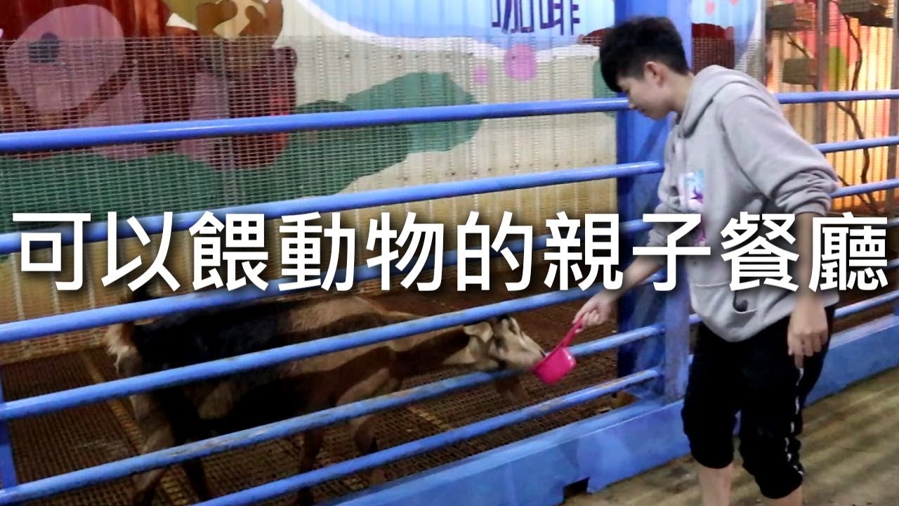 [chu樂] 可以餵動物的親子餐廳【水鹿咖啡】宜蘭礁溪景點
