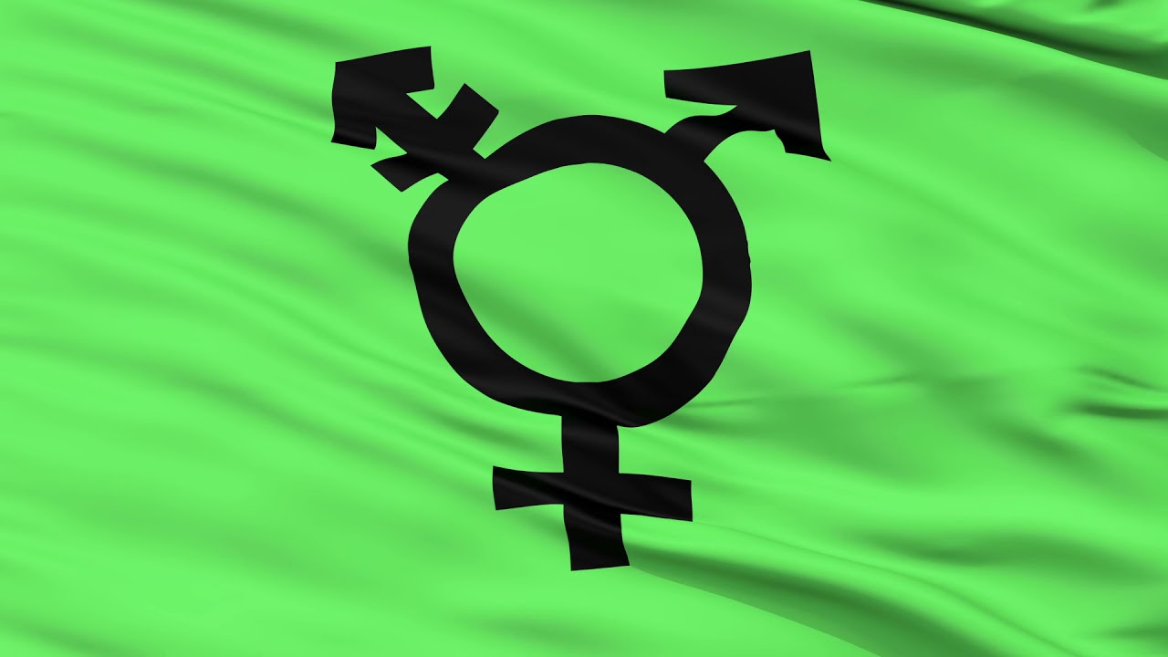 Transgender & Genderqueer Flag Animation | LHBTIQ | Flags of the World