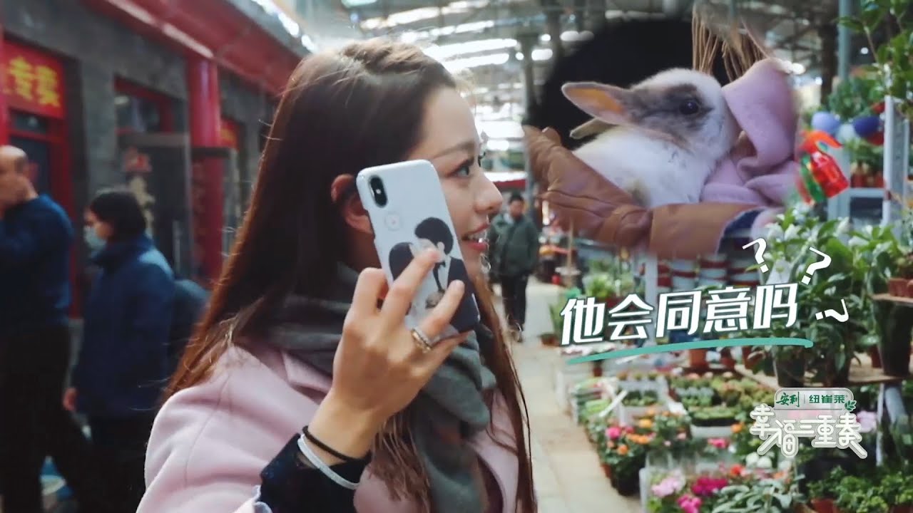 吉娜为了买兔子和郎朗撒娇，买了就要负责 | 幸福三重奏S2