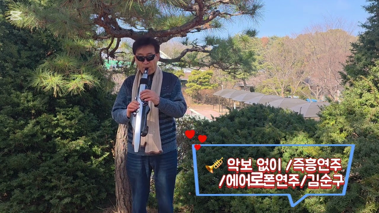동백아가씨/노래 이미자/연주 김순구 