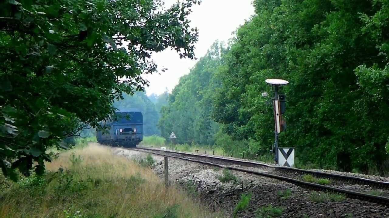 ST44-1219 w lesie + unikatowa kształtowa tarcza ostrzegawcza