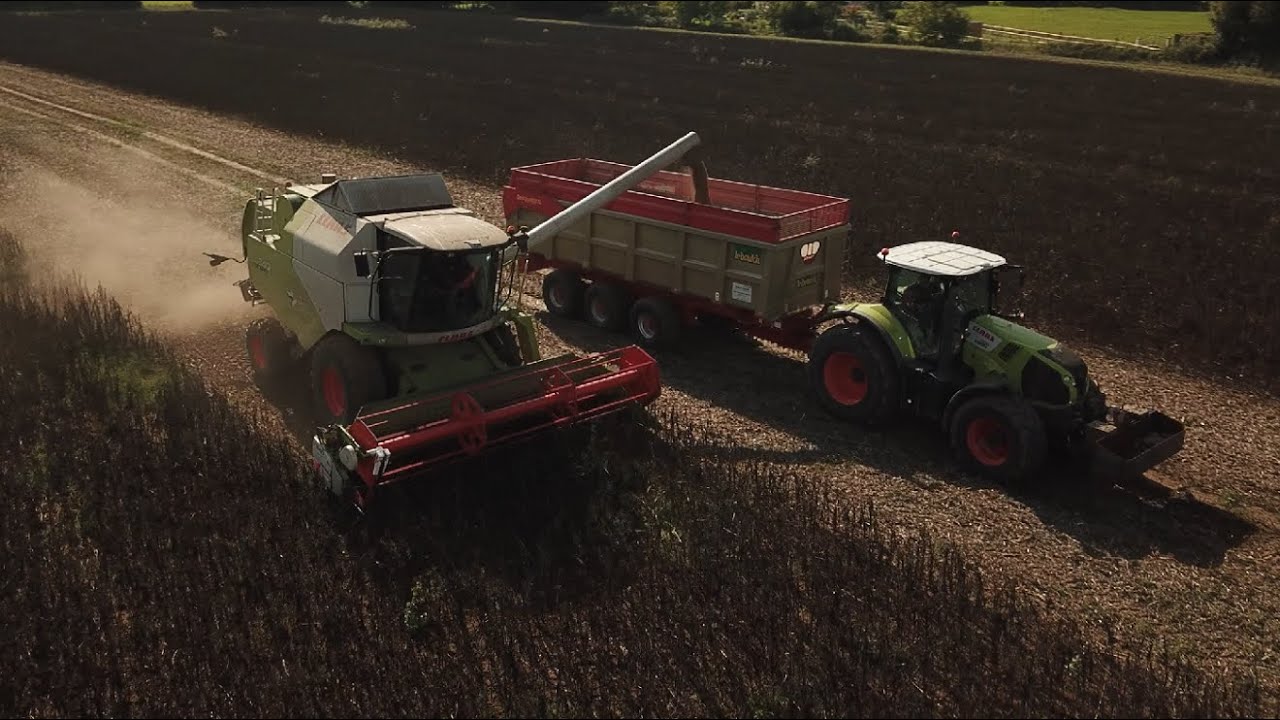 Moisson féverole 2020