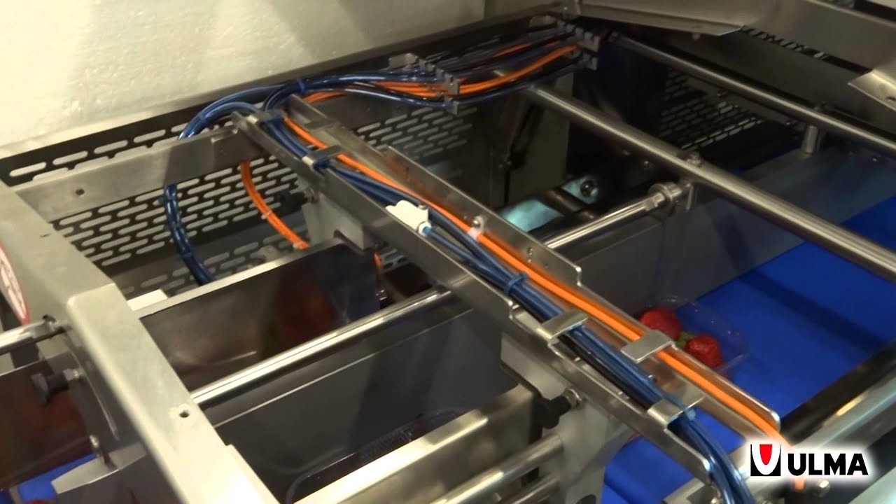 Strawberries in tray packaging in a double line TSA 680 traysealer