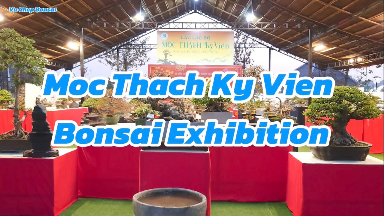 Bonsai Exhibition in Hanoi, Vietnam | Giao lưu trưng bày bonsai tại Mộc Thạch Kỳ Viên