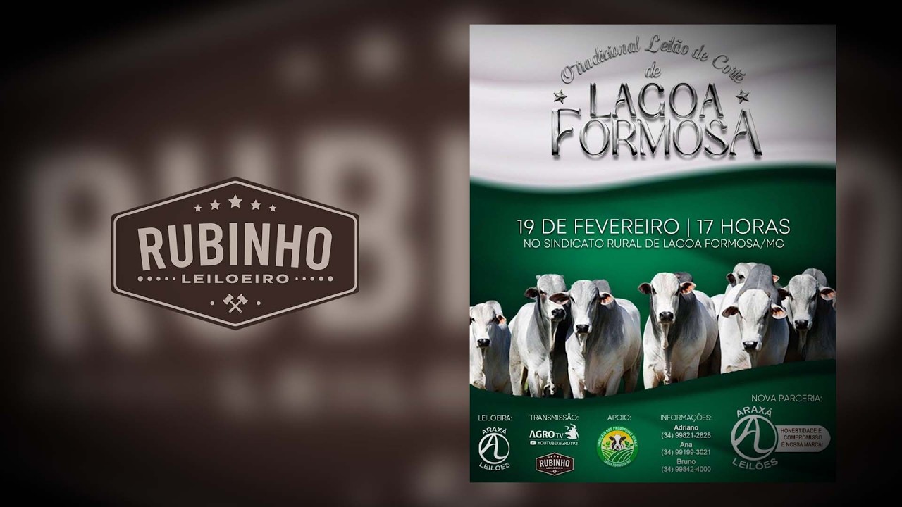 LEILÃO DE CORTE -  LAGOA FORMOSA MG  19 DE FEVEREIRO, 2026 - 17H00