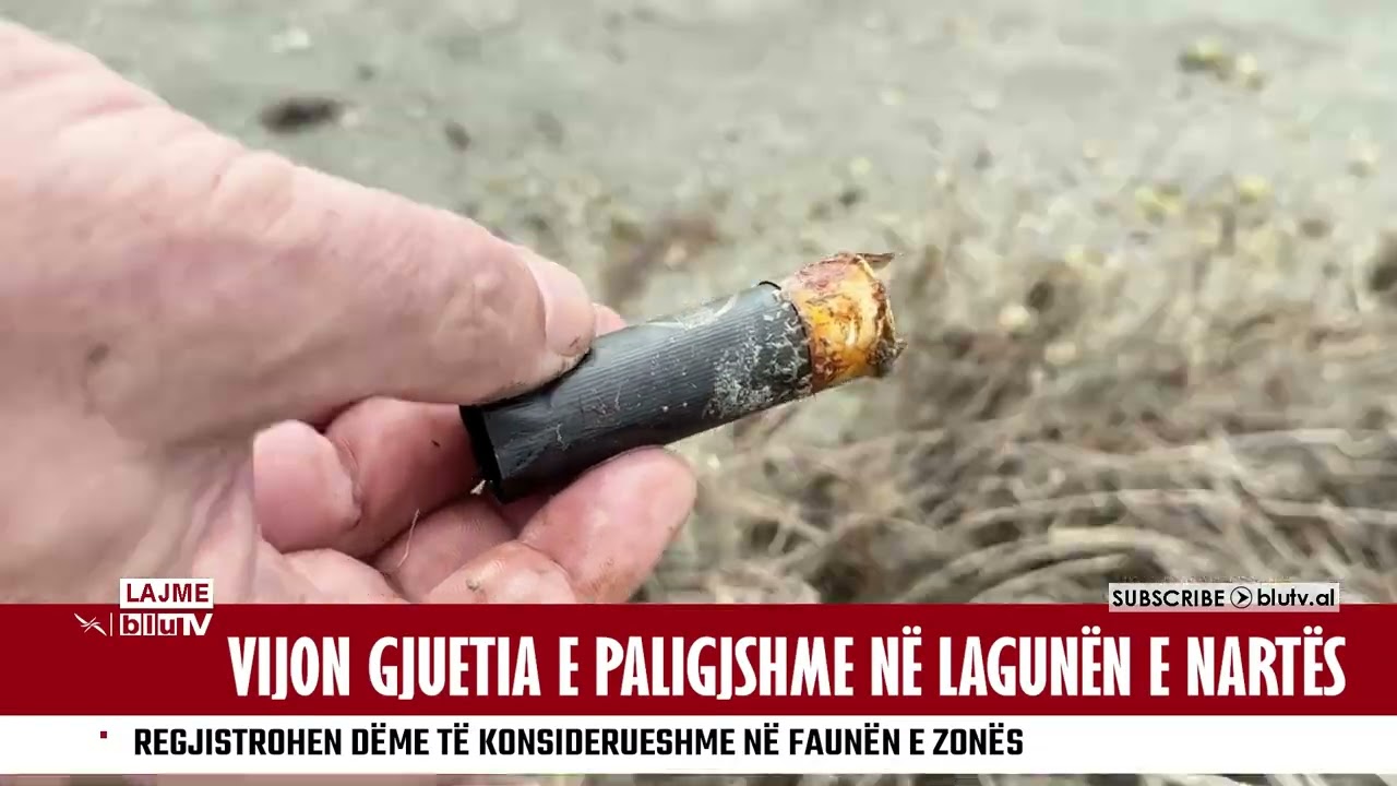 Alarm në Nartë: Gjuetarët e paligjshëm kërcënojnë faunën e lagunës