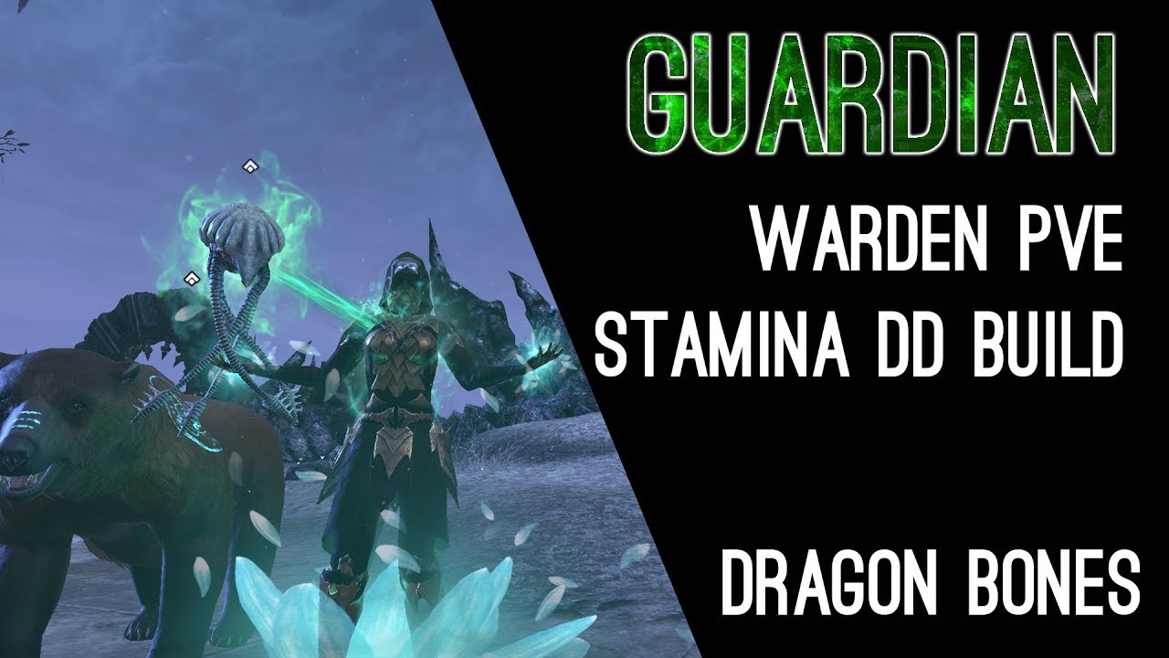 Stamina Warden Build PvE 