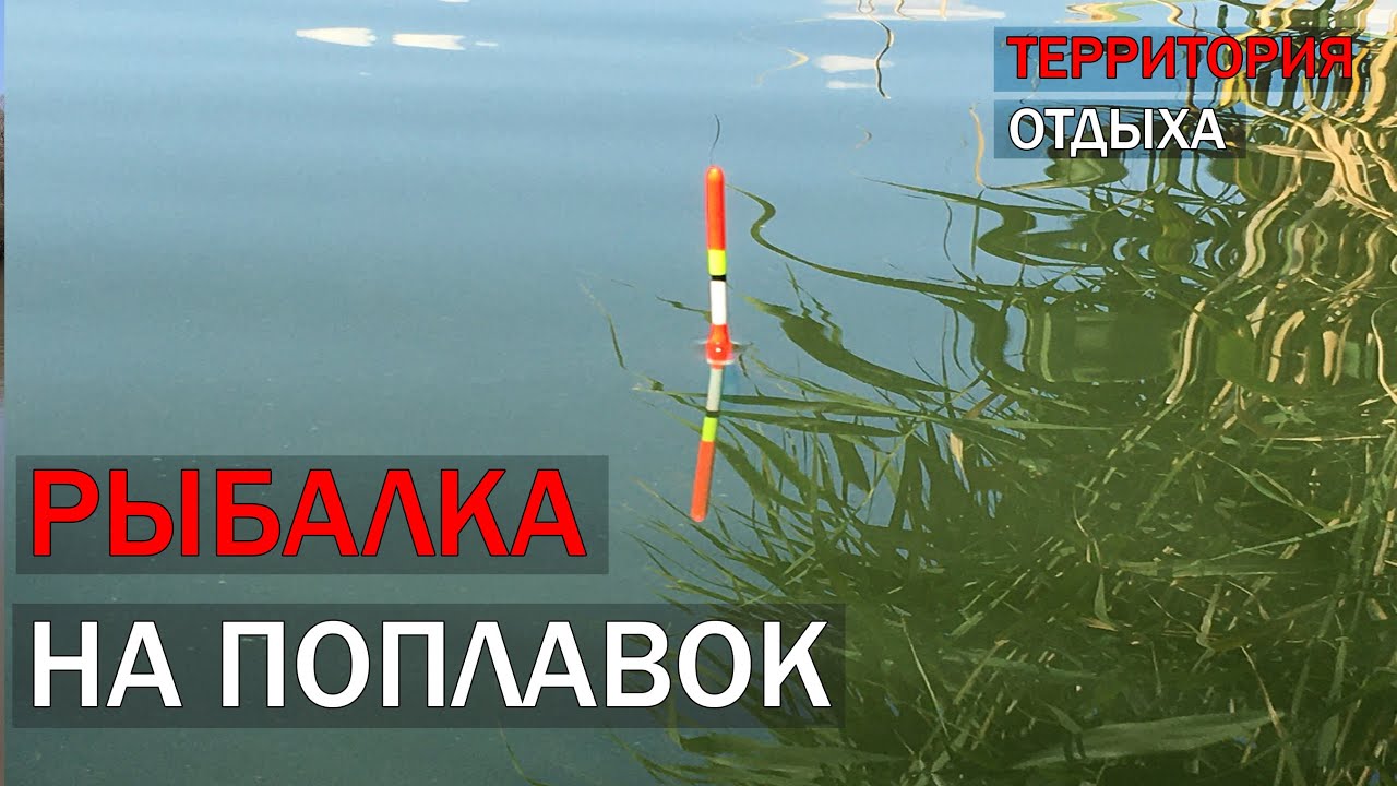 Рыбалка на поплавок, рыбалка с лодки, рыбалка Кучурганский лиман