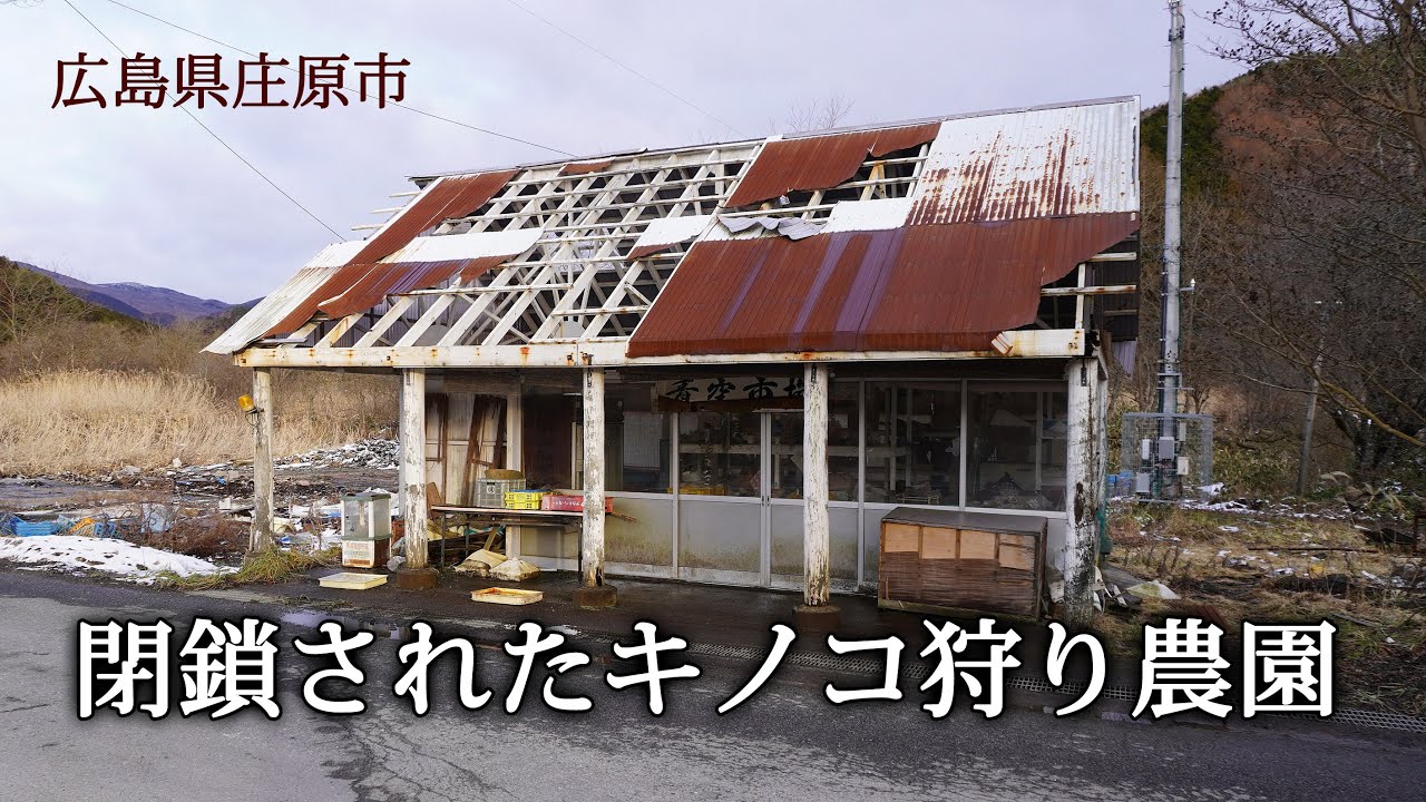 広島県庄原市　閉鎖されたキノコ狩り農園