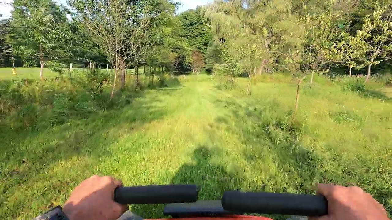 Unleashing the Power of Our Kubota ZD1211: Tackling 4-Foot Tall Grass with Ease