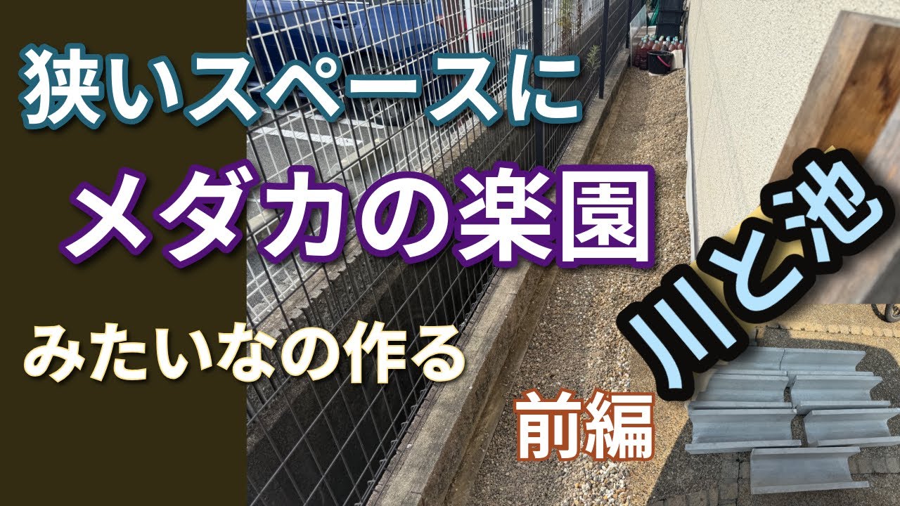 狭いスペースにメダカの楽園みたいなのつくってみた