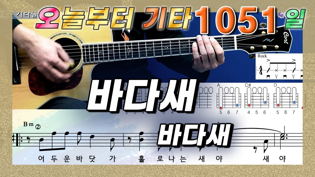 [오늘부터 기타] 1051. 바다새 - 바다새