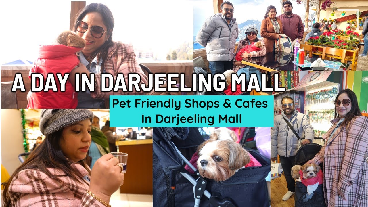 We stayed inside a Tea Garden | A day in Darjeeling Mall with My puppies | Pet friendly cafes