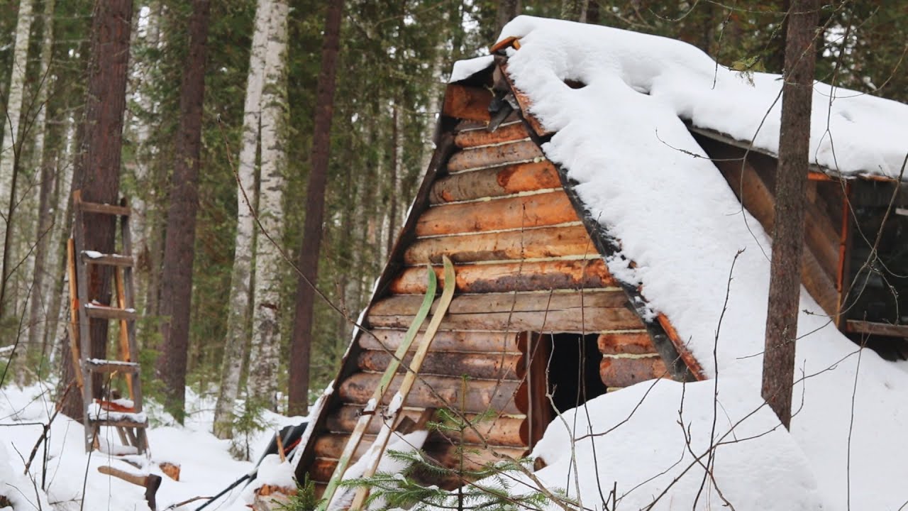 3 days in the wild forest building a forest hut, camping
