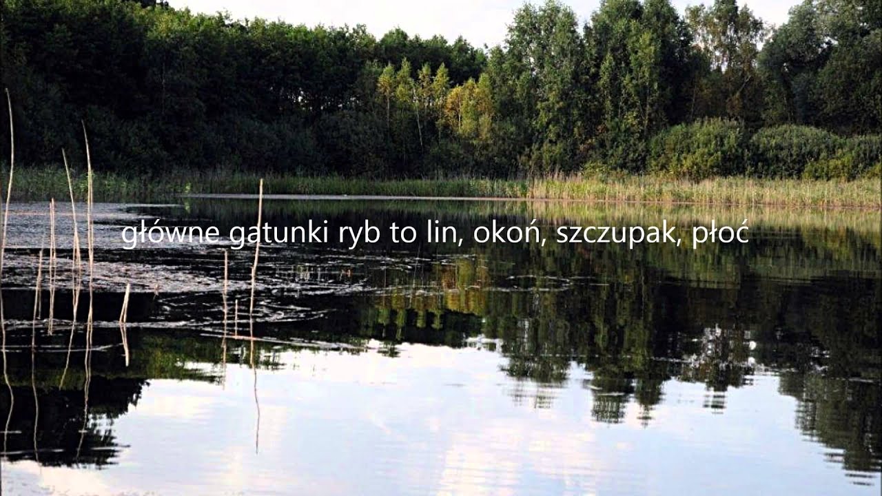 Jezioro Na Sprzedaż