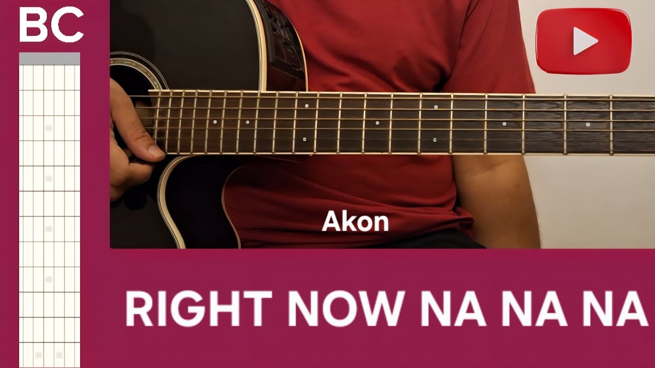 Right Now Na Na Na | BC Guitar Tutorial | Akon