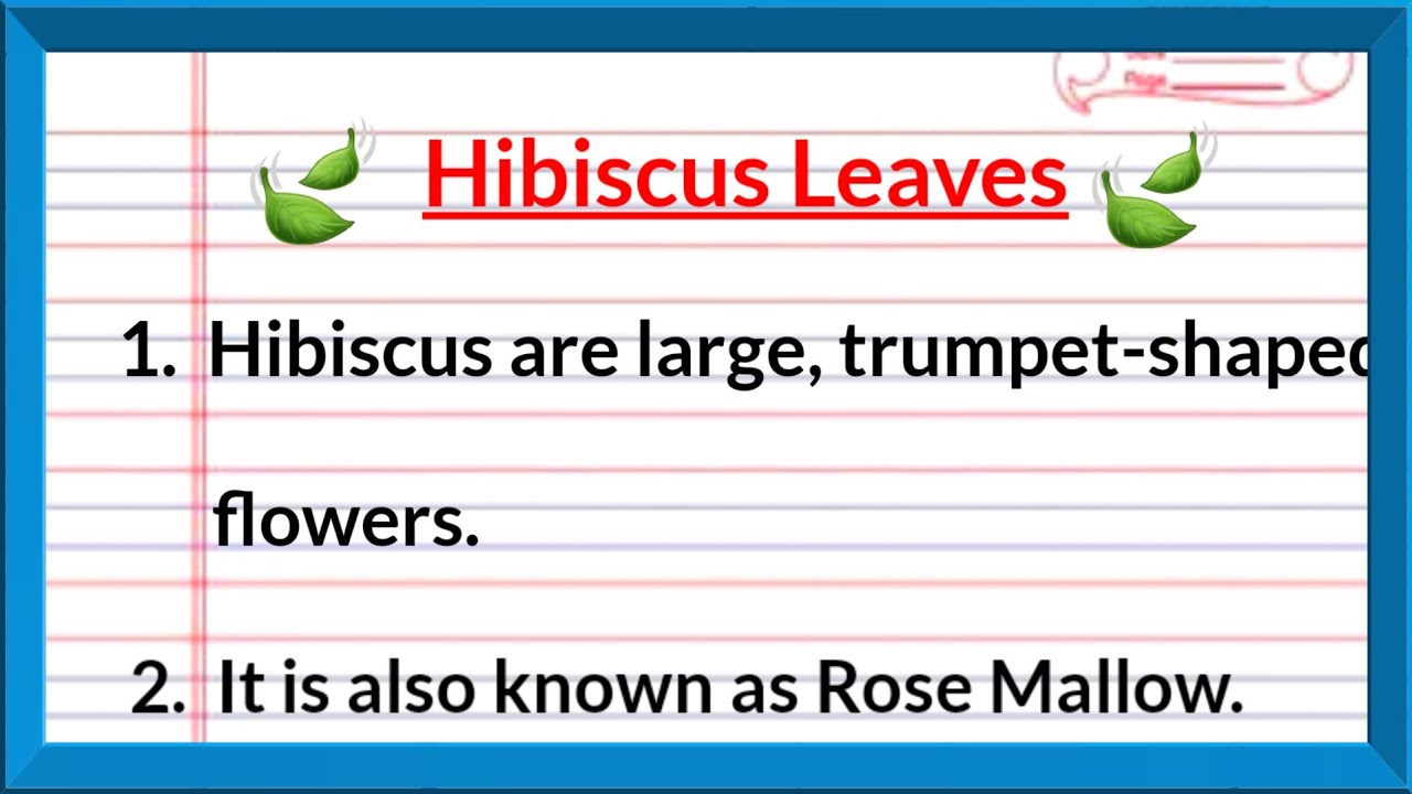 10 lines on Hibiscus leaves 🍃 in english, few sentences about Hibiscus leaves, About Hibiscus Leaves
