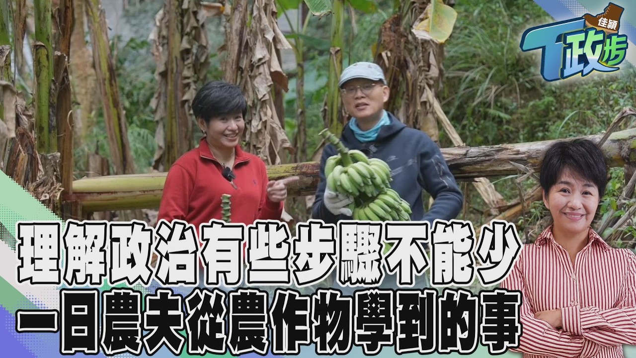【佳頴T政步】土地和人的連結非政治人物專利! 一日農夫砍芭蕉到第三十刀後 才懂