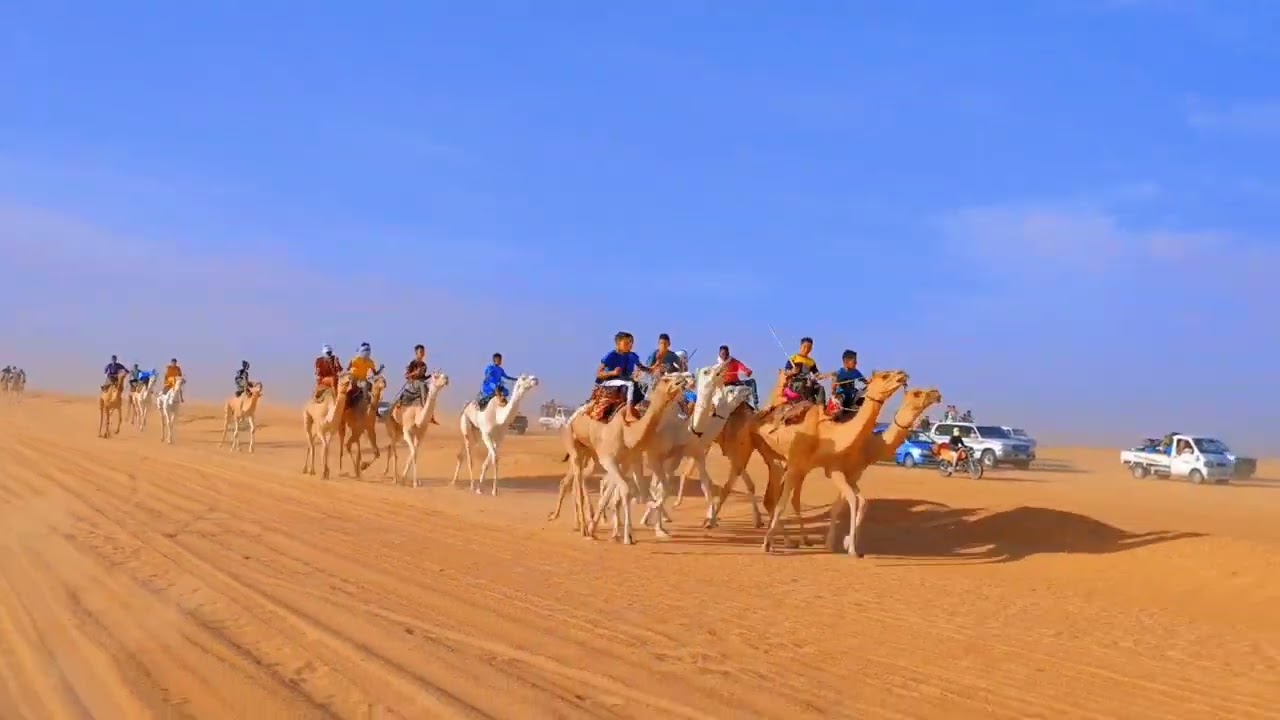 سباق مهاري مسافة 12 كيلو ورقلة