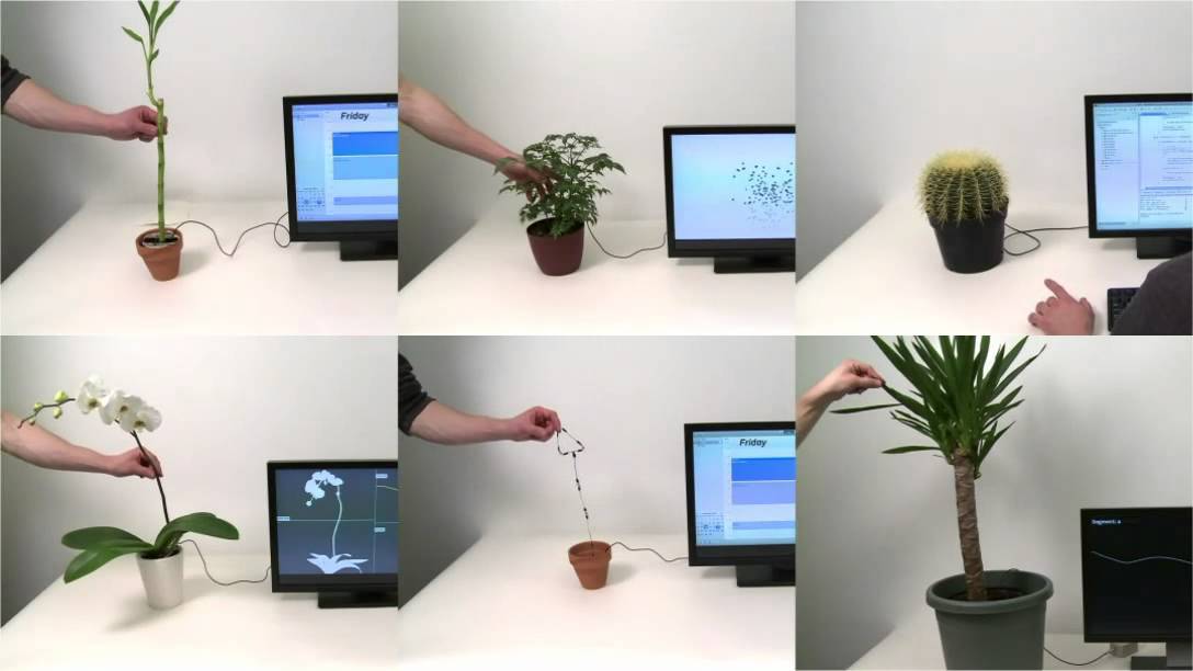 Botanicus Interacticus