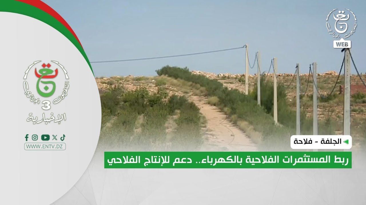 الجلفة - فلاحة|  ربط المستثمرات الفلاحية بالكهرباء.. دعم للإنتاج الفلاحي