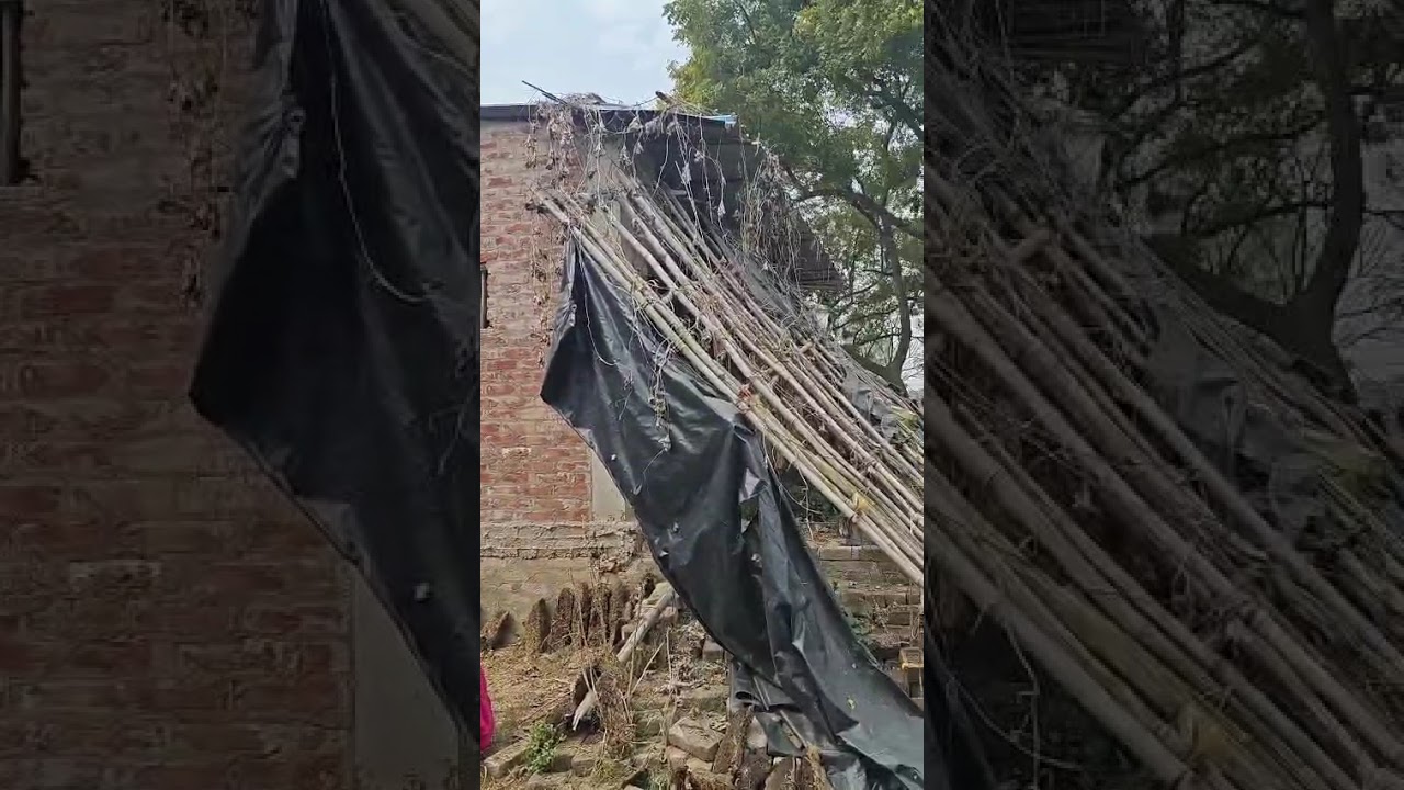Gaw ka ghar (Gaw ka ghar, bahot din baad gaye  or viraan jesa laga hame fer hamne safai kari)