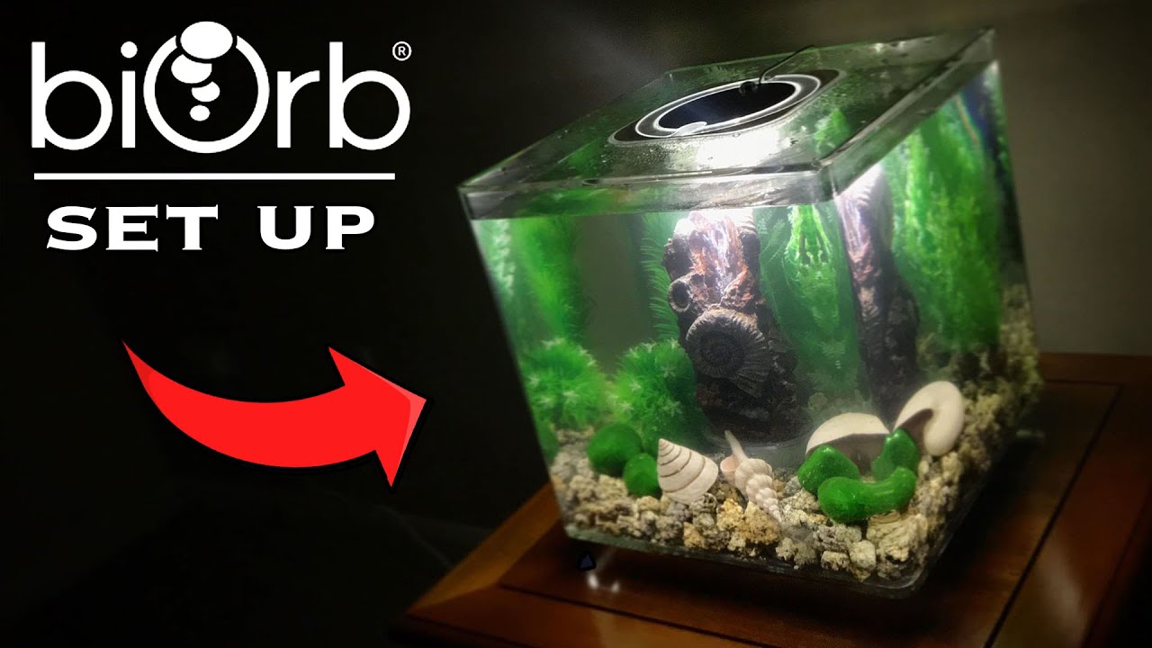 Установка аквариума biOrb | PLUS Распаковка
