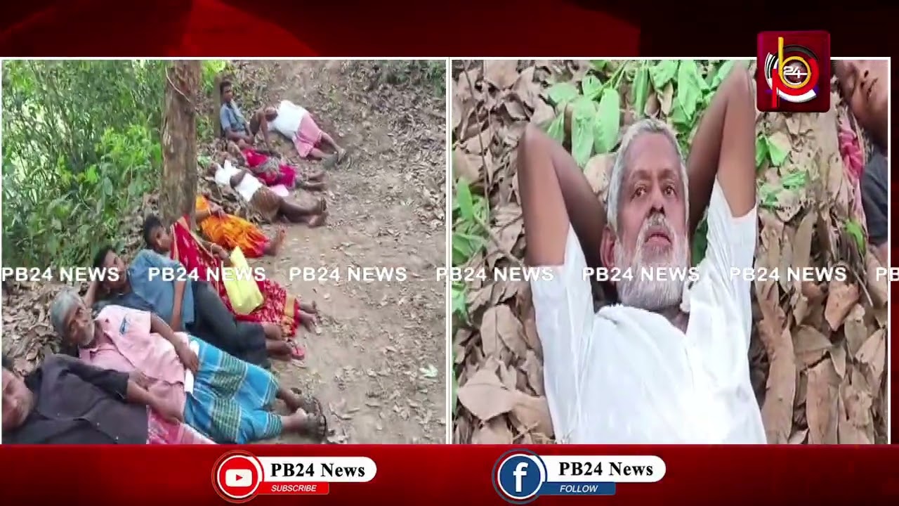 প্রা/ণ দি/তে রা/জি তবুও রাবার বাগান দেবেন না। মাটিতে শুয়ে পড়লেন ১৩ জন বাগান মালিক