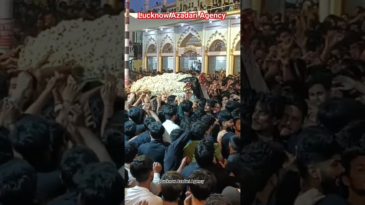 21 Ramzan ka Taboot Lucknow 2024 Shahadat Imam Ali a.s Najaf To Karbala TalKatora #21_Ramzan #viral