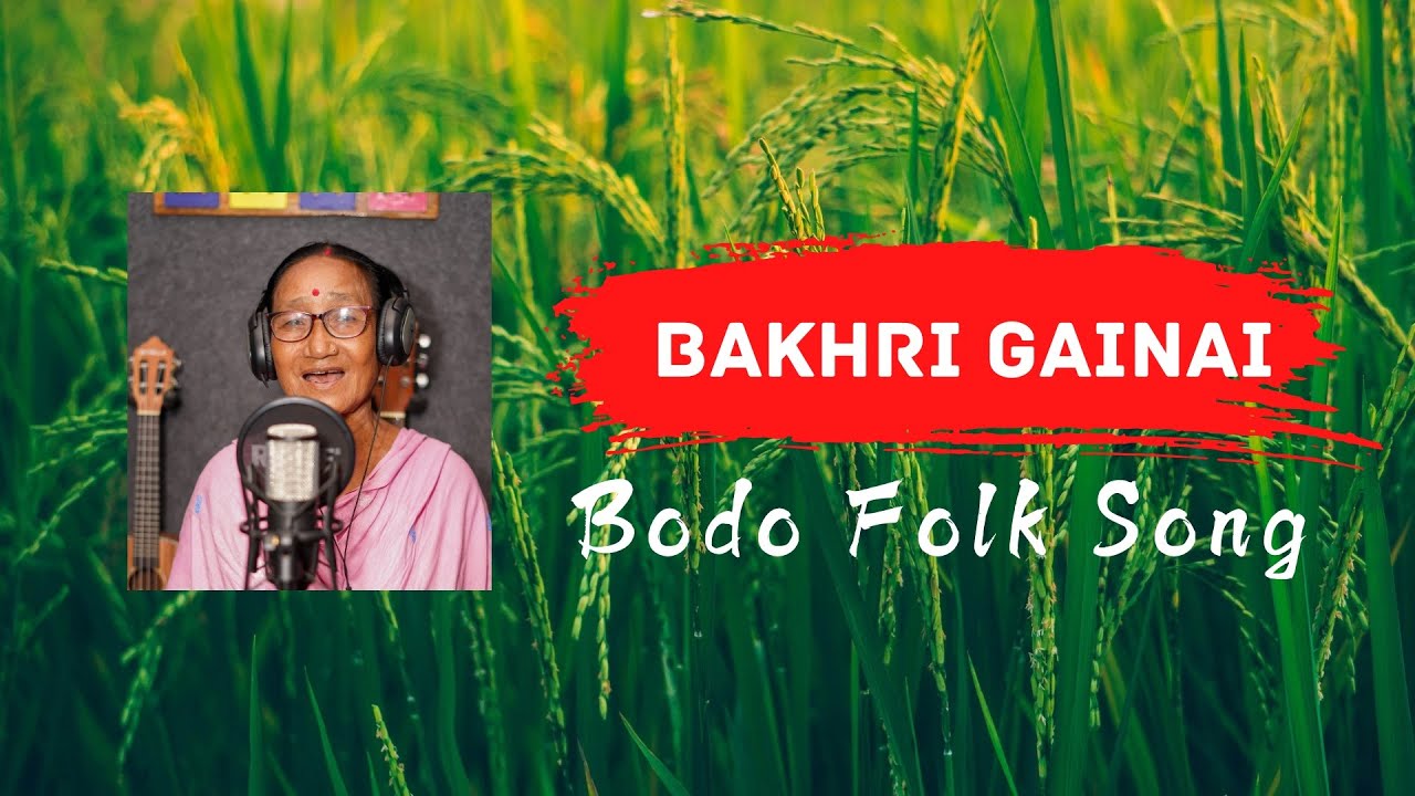 Bakhri Gainai || Bodo Folk Song || Bimala Baro