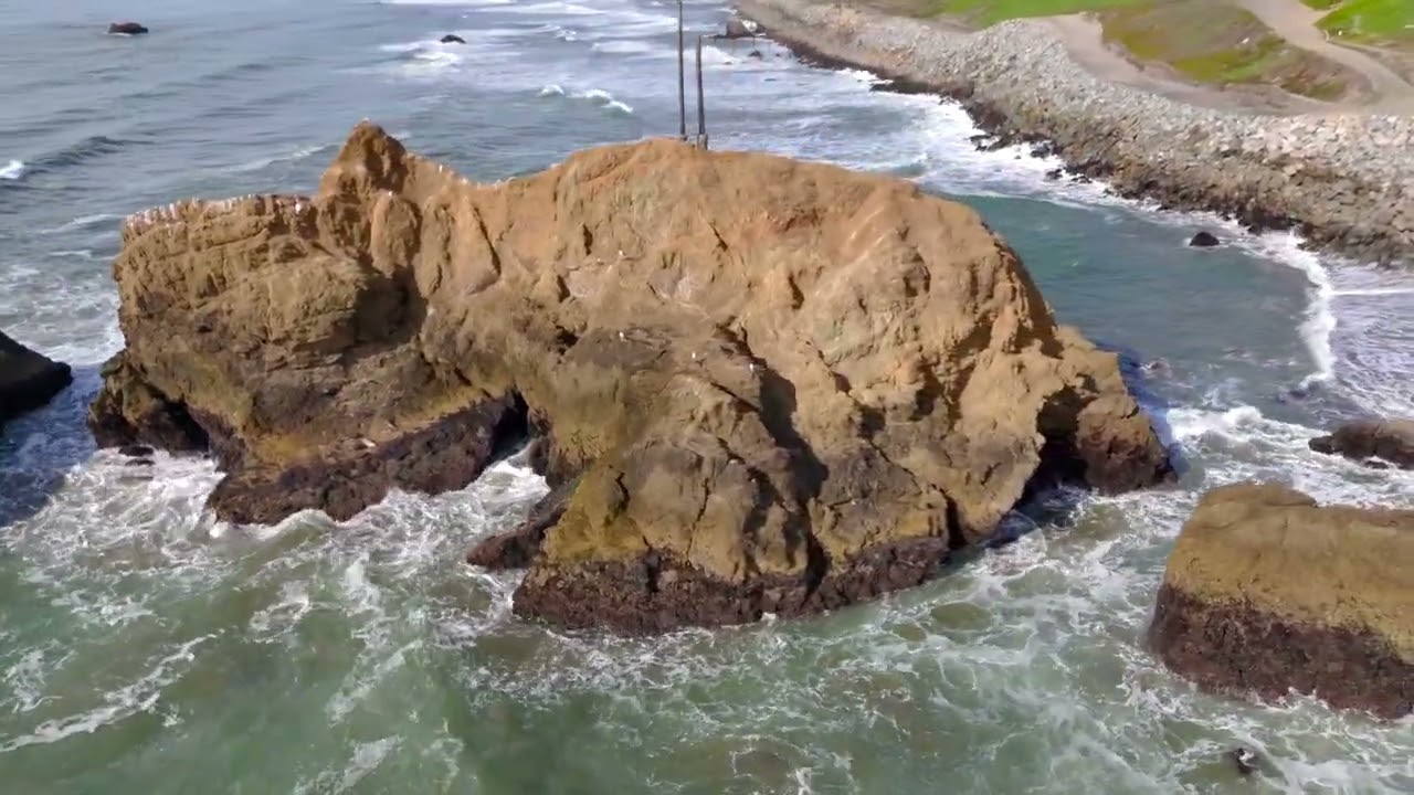 Mussel Rock Park