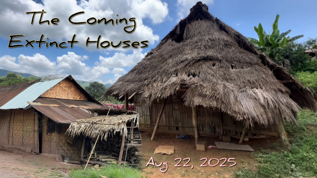 Zos Pham Luam PhamKaas / ຫຼວງພຣະບາງ #Pt.17 ( August 22, 2025 )