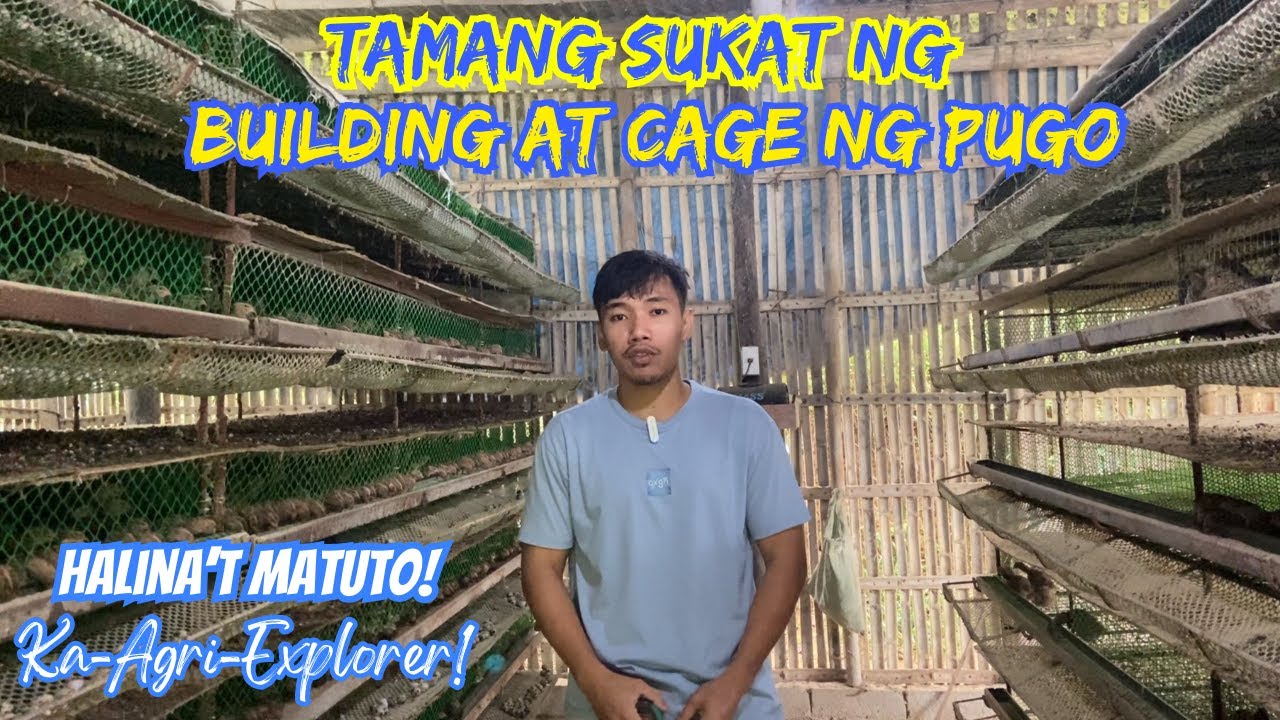 TAMANG SUKAT NG BUILDING AT CAGE NG PUGO | RON'S FARM OFFICIAL
