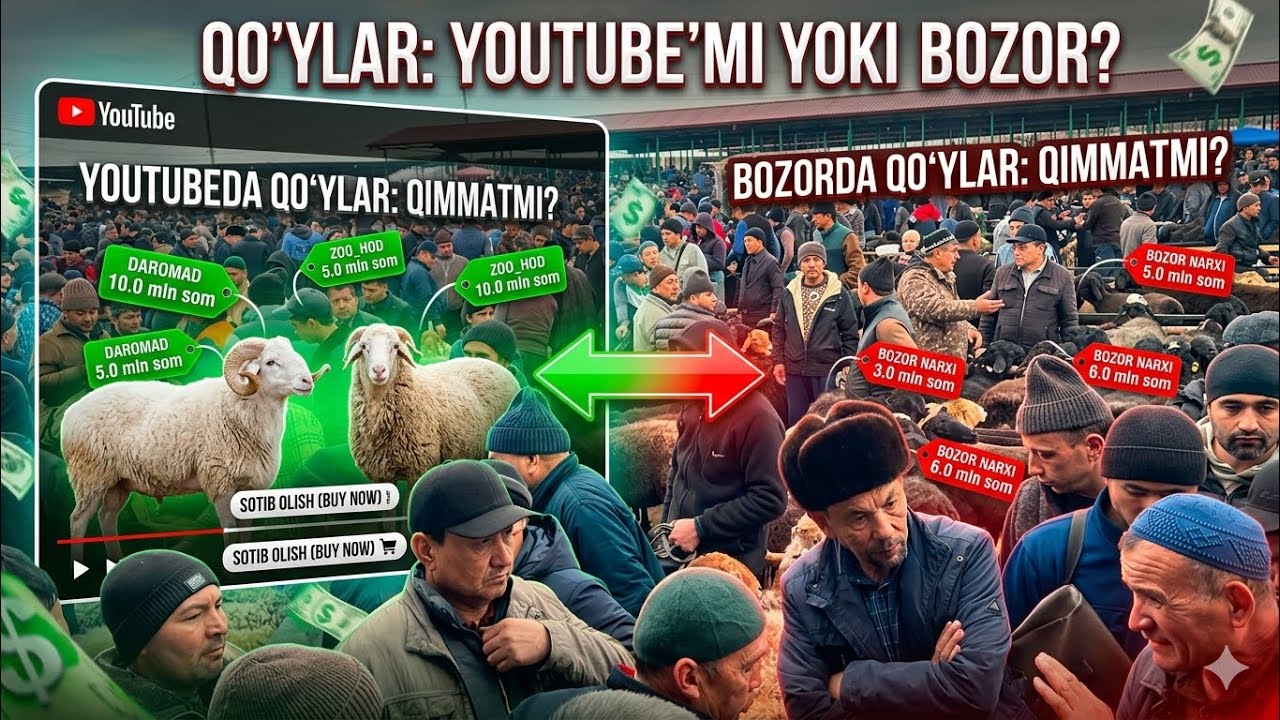 😱 QO‘YLAR QAYERDA ARZON? BOZORMI YO YOUTUBEDA? SHAHIDON CHORVA BOZORI