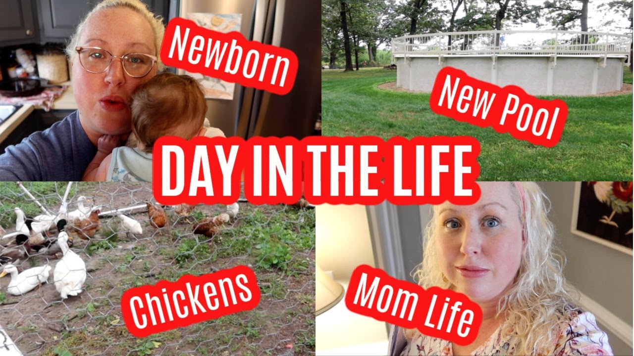 DAY IN THE LIFE LARGE FAMILY MOM OF 9 | I'm NOT Cooking 😜, PROJECT DAY,  SEE the Pool!