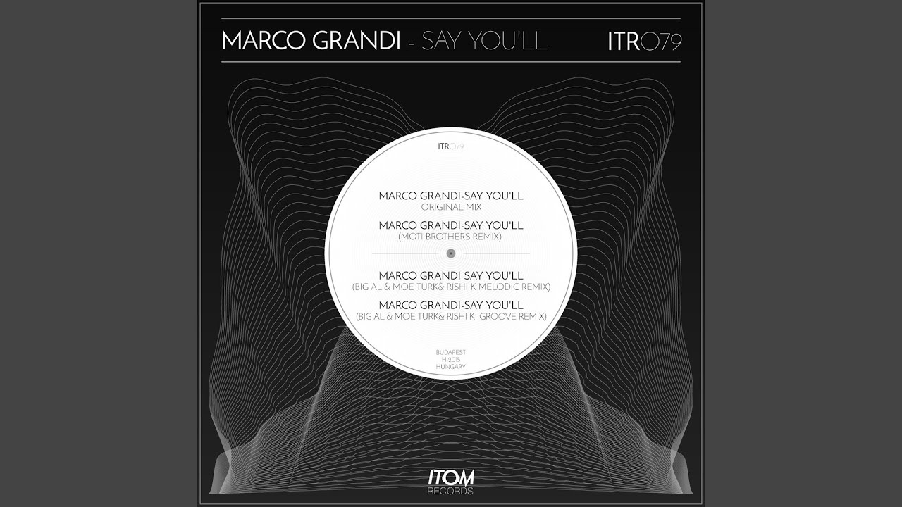 Say You'll (Moti Brothers Remix)