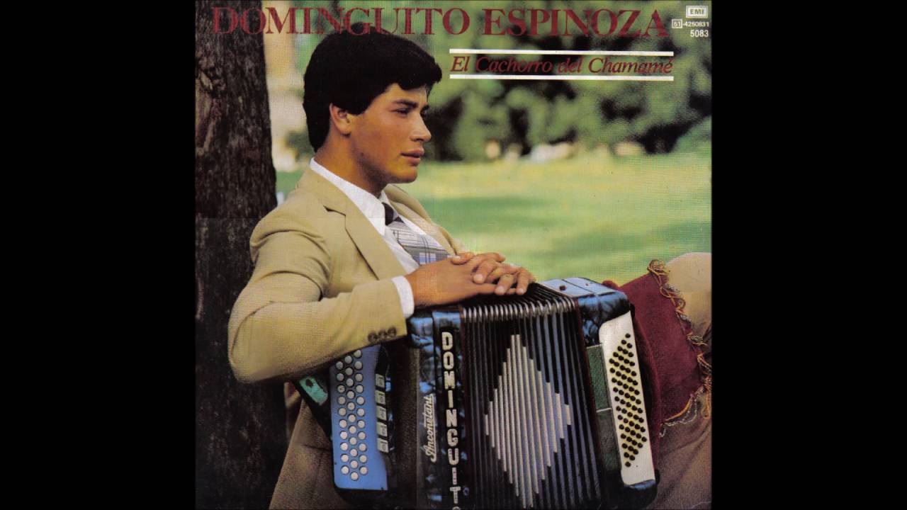 Dominguito Espinoza - El Cachorro Del Chamamé