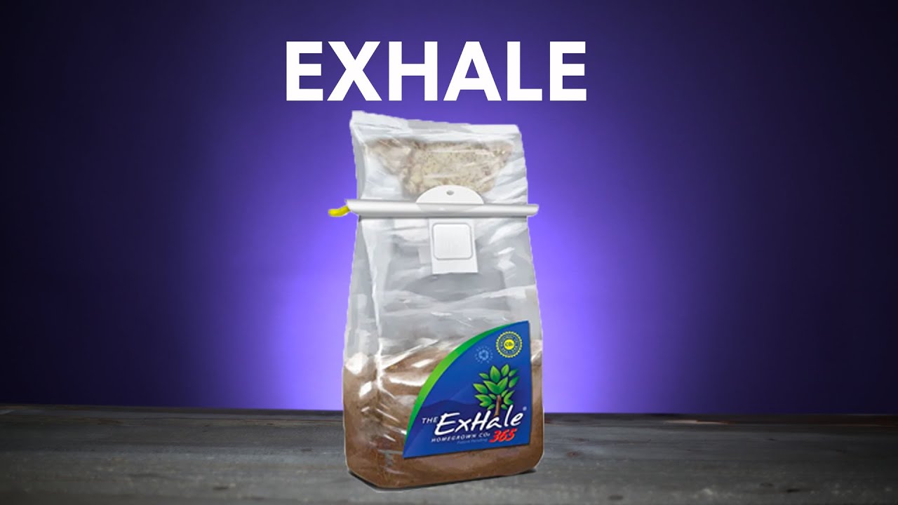 EXHALE  CO2 Bags