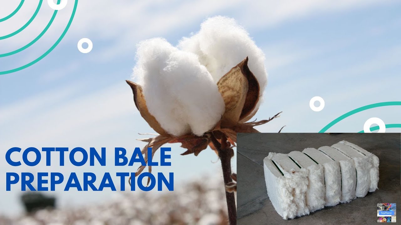 Cotton Bale Preparation | Yarn Manufacturing | Step by Step | Cotton Fields | Texplorer | Textile