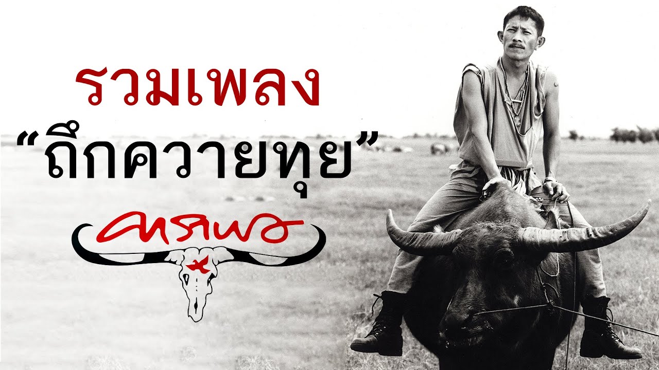 คาราบาว | รวมเพลงถึกควายทุย ภาค 1-10 【LongPlay】