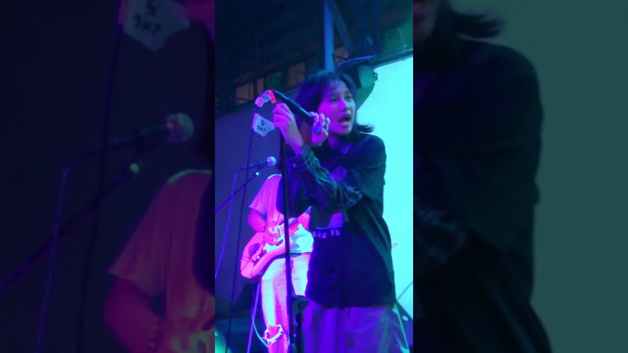 indie pop band The Nerverackers performing Humdrum