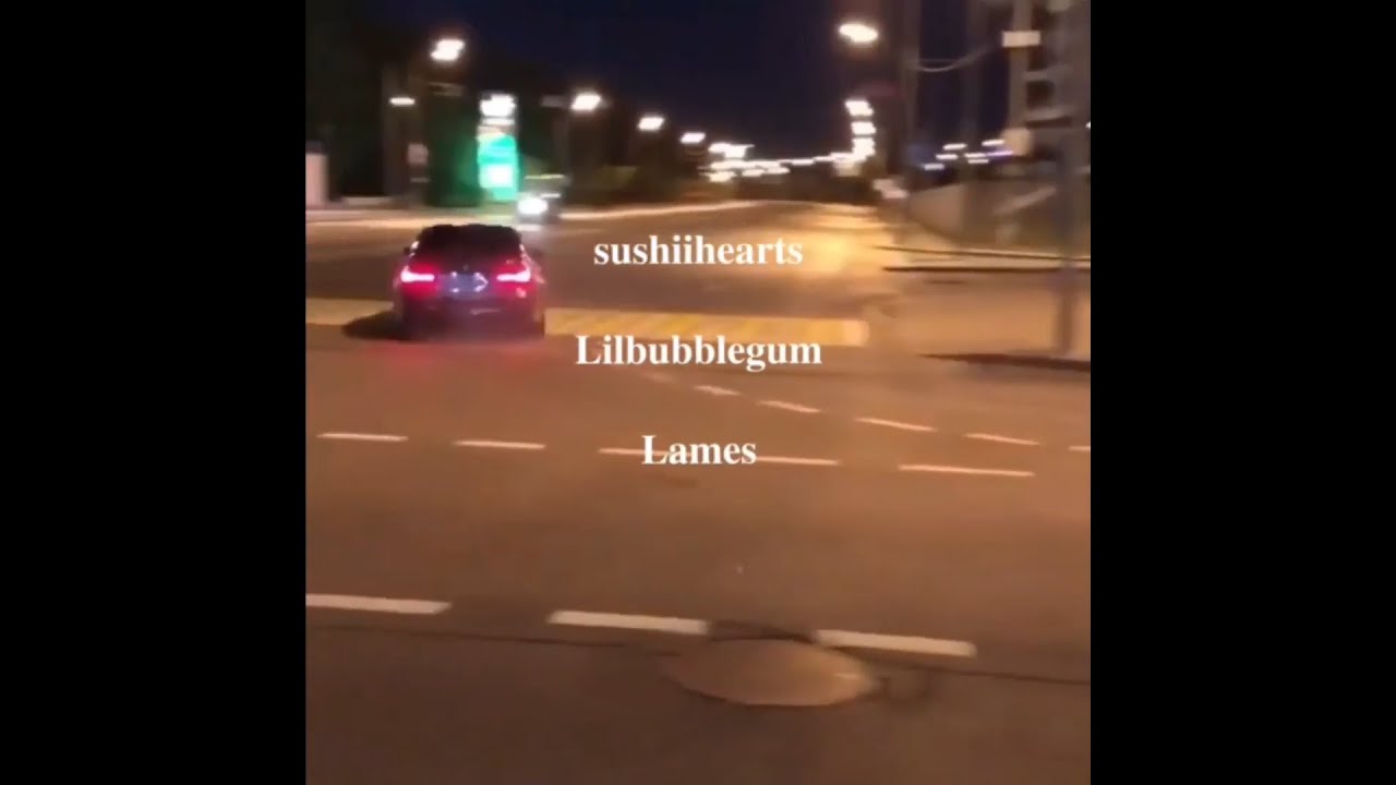 Lames x lilbubblegum - The Lamest